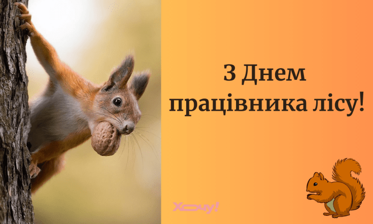 Найкращі вітання з Днем працівника лісу 2025