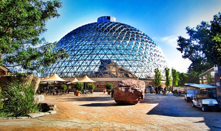 Почему важно ходить в зоопарк