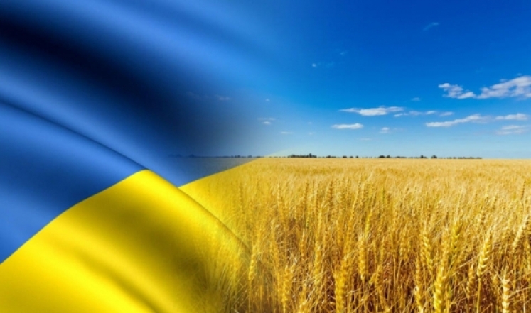 День утверждения Государственного Флага Украины: история сине-желтого знамени (ФОТО) - фото №9
