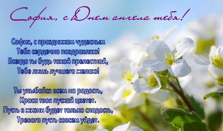 картинки с днем ангела софии