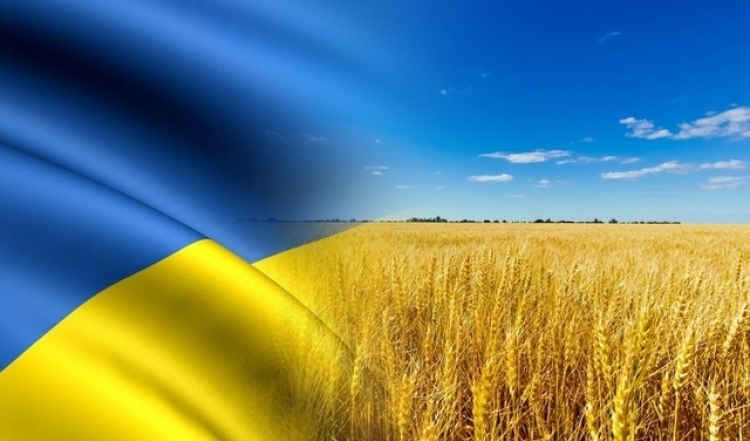 день независимости украины 2023