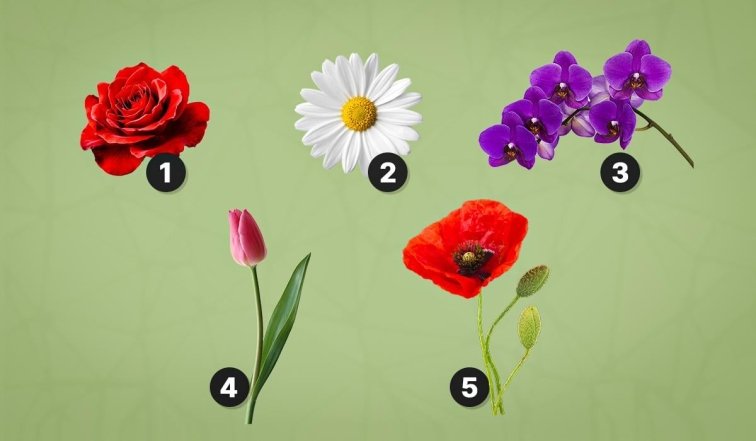 Выберите цветок и узнайте свой секретный дар