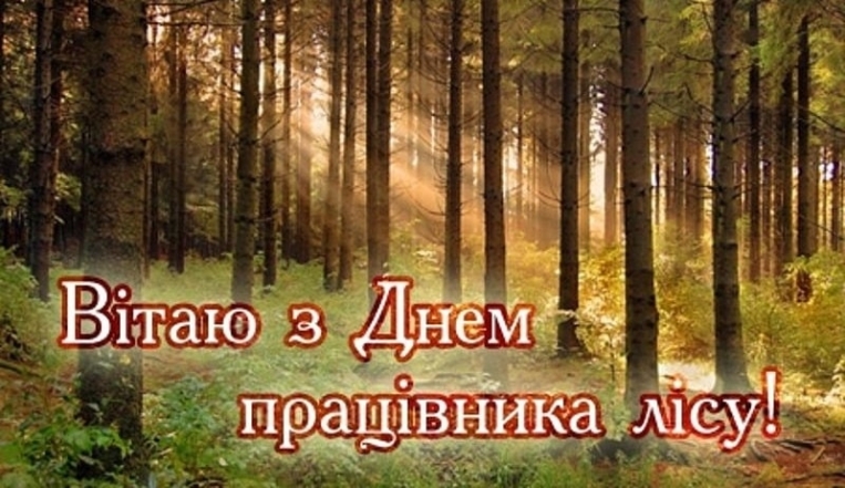 День працівників лісу 2023: найкращі побажання та гарні листівки - фото №7