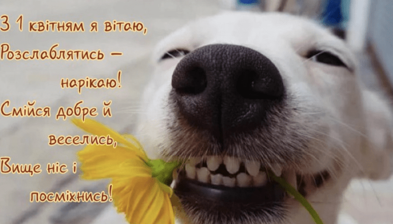 прикольные картинки 1 апреля