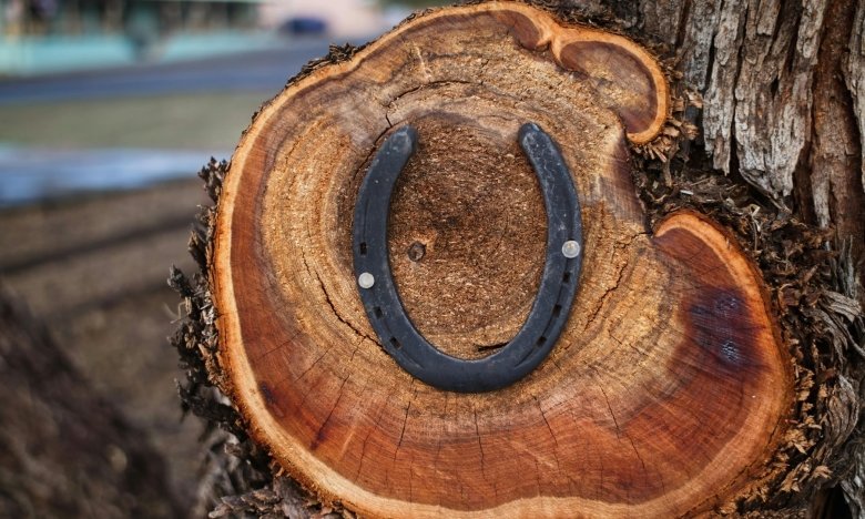 Выберите одну подкову и этот тест мгновенно покажет, действительно ли вы счастливый человек