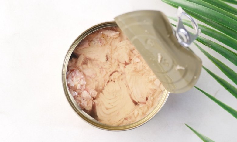 Что делать с маслом из консервов, чтобы не забить трубы