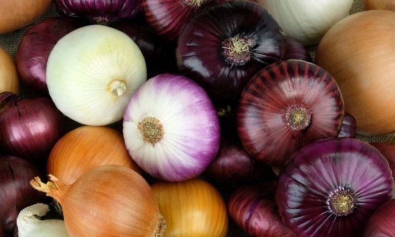 новые сорта лука