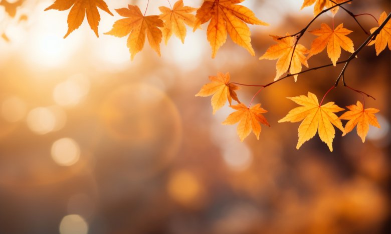 Вересень 2025, фото