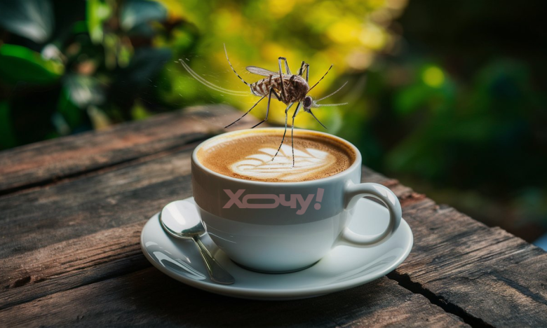 Як кава допоможе прогнати комарів з городу: лайфхак