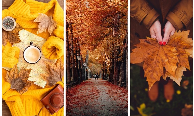 Осінь, фото