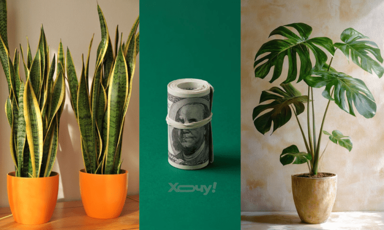 Как активировать финансовые порталы