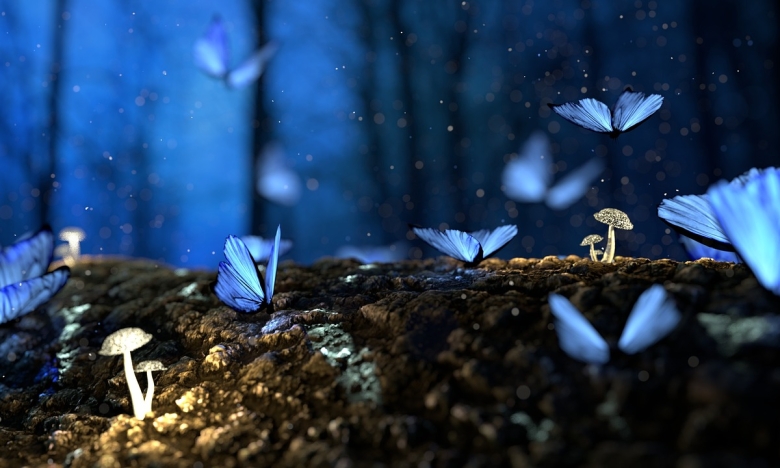 Синие бабочки на фоне мистического вечера, картинка