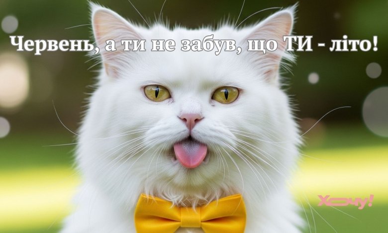 Привітання та картинки з першим днем літа