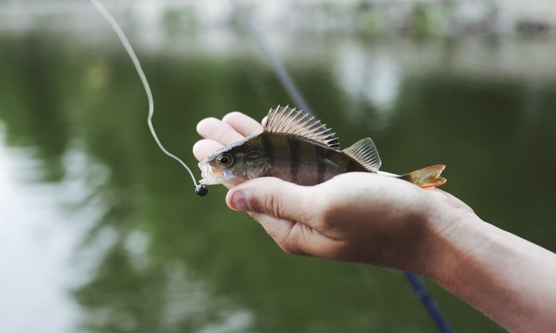 День рибалки 2025 - коли буде і як привітати
