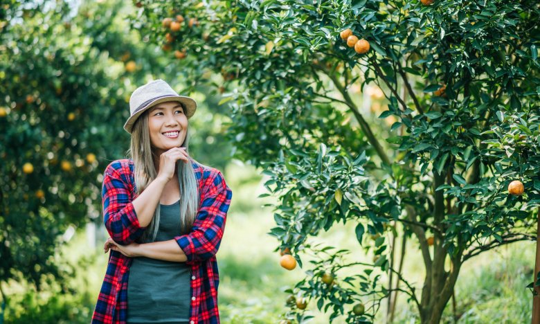 які дерева посадити