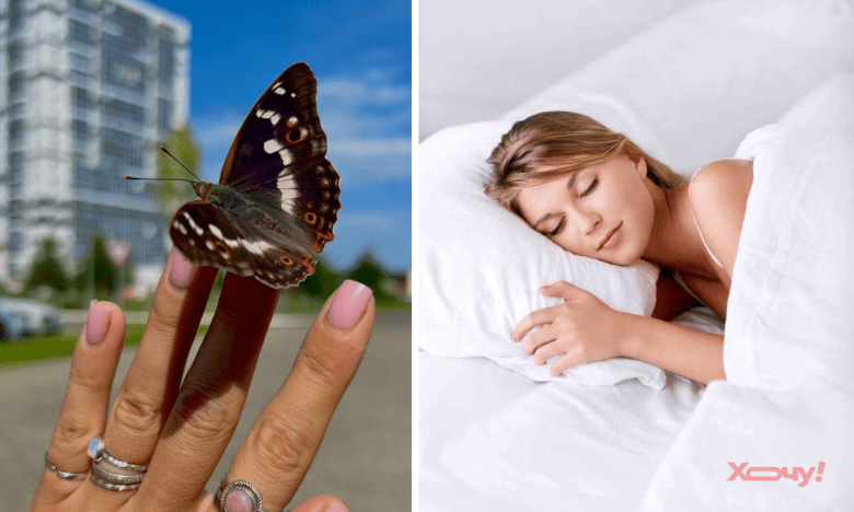 Наснилося, на мене сів метелик