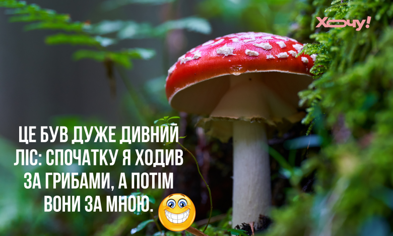 приколи про гриби