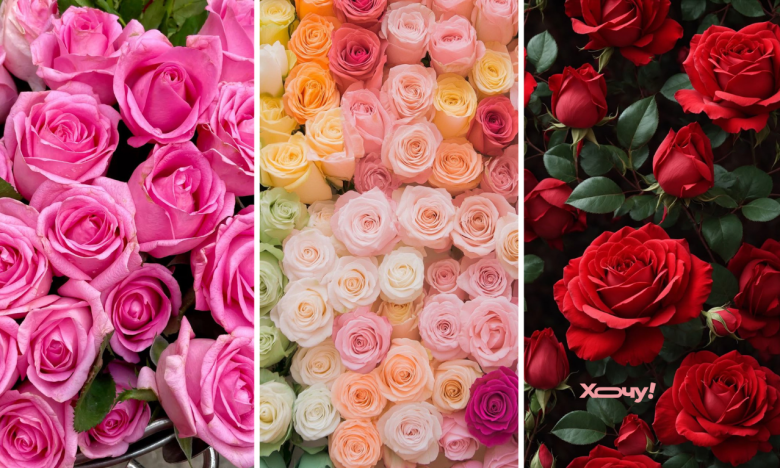 До чого сняться троянди, сонник