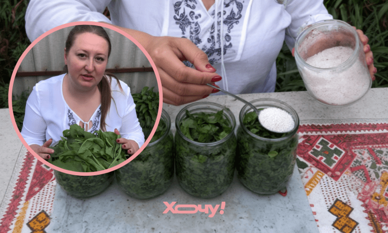 как закрыть щавель на зиму