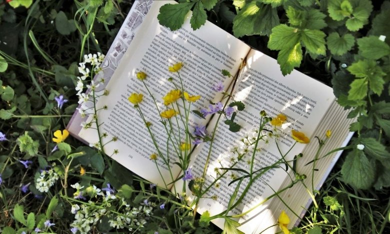 BestsellerFest 2025 во Львове — программа мероприятия