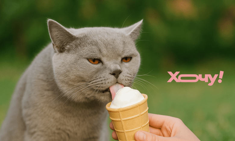 Як приготувати домашнє морозиво для кота чи собаки