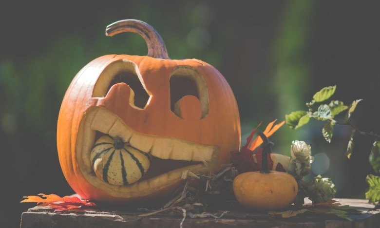 Факты об осени для детей и взрослых