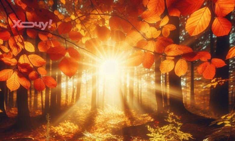 Приметы про осень