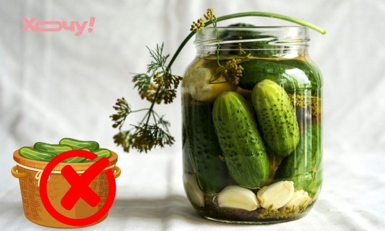 Какие сорта огурцов не подходят для консервации – полный список