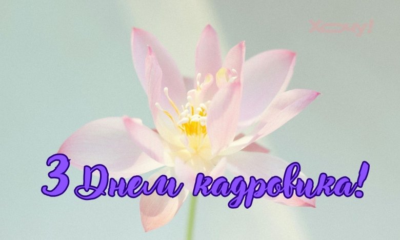 Проза и картинки с Днем кадровика