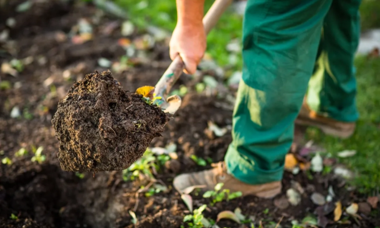 як підживити город