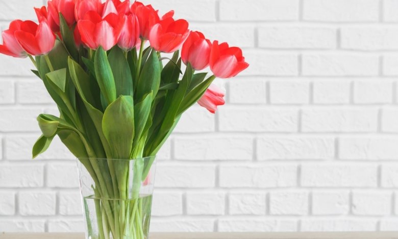 Подовжити життя квітів можна правильним обрвізанням стебла