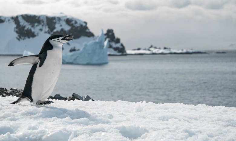 Запаховед — человек, от обоняния которого зависит успех духов