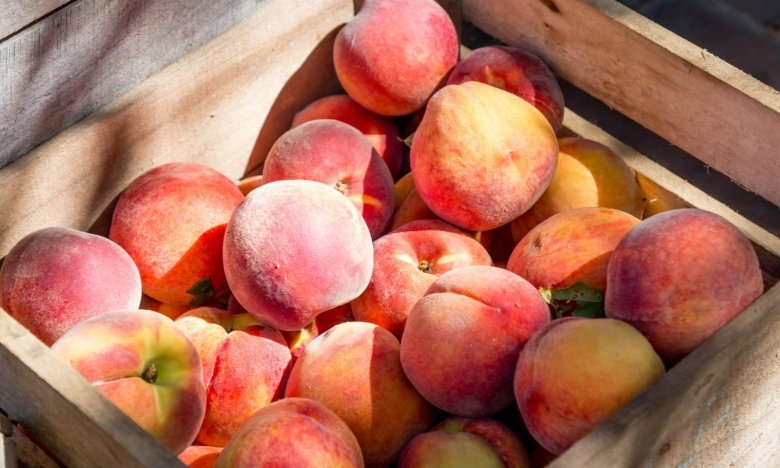 лайфхак для заготовки персиков