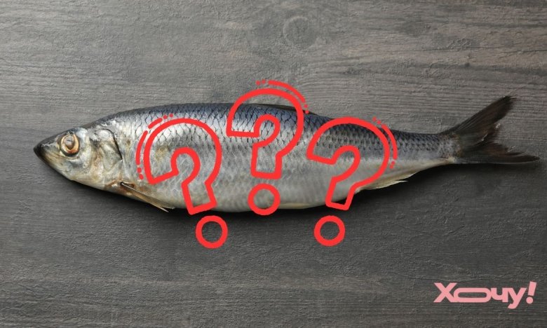 Як вибрати оселедець з ікрою — головна ознака та порада від продавця