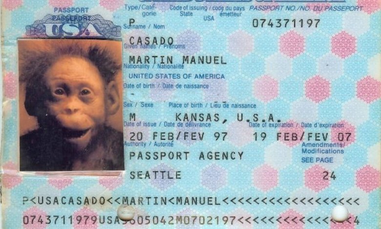 Приколы с фотографиями на паспорт