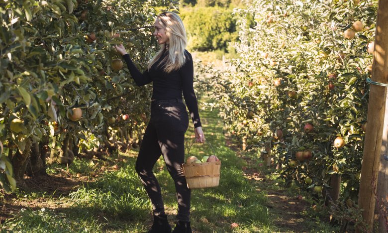 как обработать лерова осенью