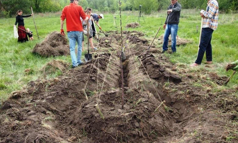 як приготувати теплі грядки