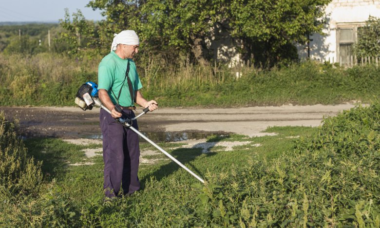 чому не можна косити