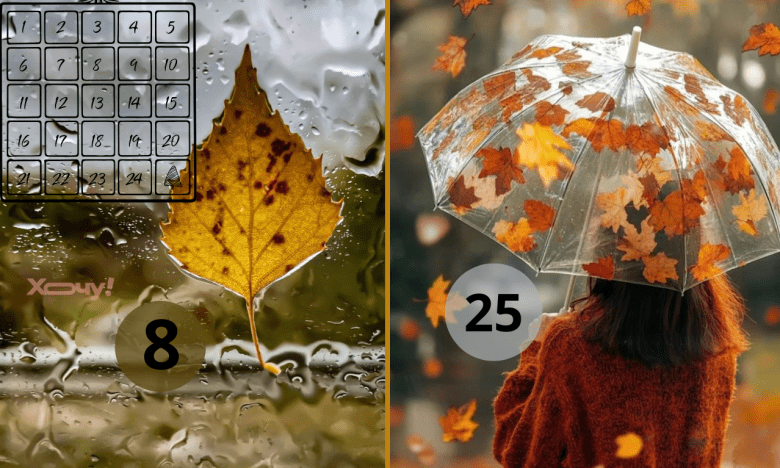 Щасливі та невдалі числа листопада