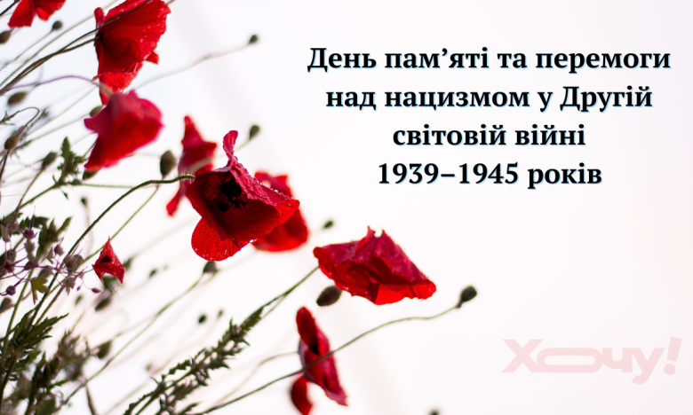 Червоний мак - символ пам’яті про жертви Другої світової війни, фото