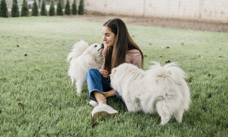 Девушка с собаками, фото