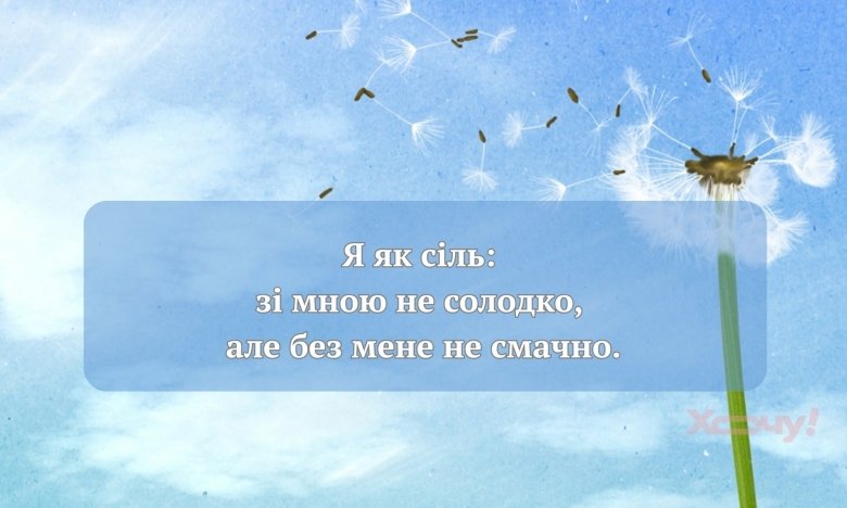 Остроумные высказывания и цитаты