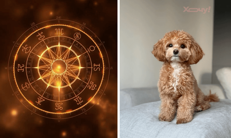Яка порода собак підходить вам по гороскопу