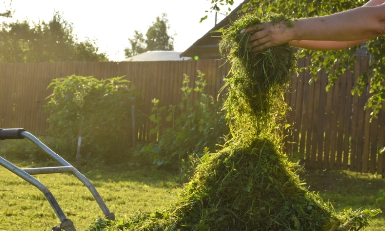Как использовать скошенную траву на огороде