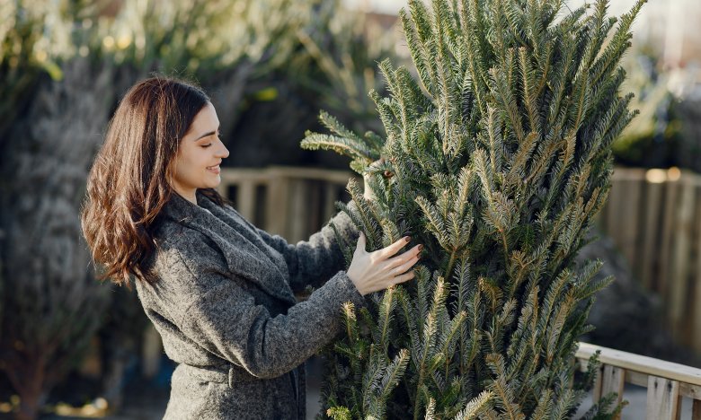 куда поставить елку