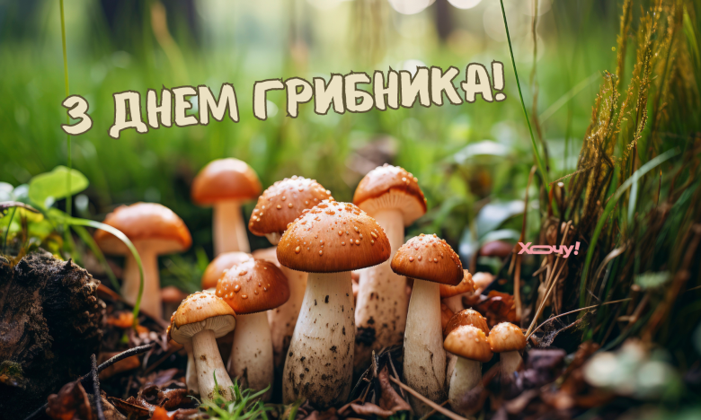 Всемирный день грибников.