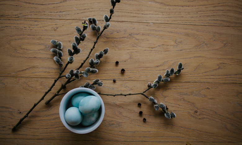 Верба и пасхальные яйца, фото