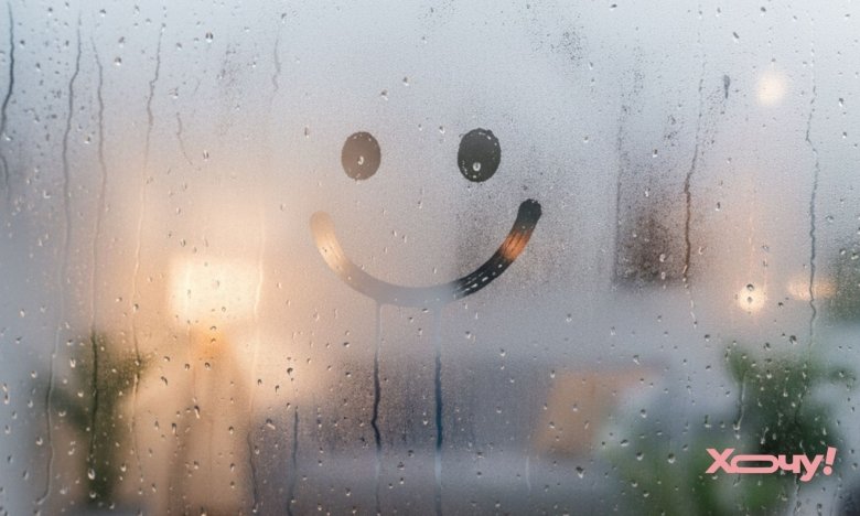 9 ефективних способів усунути зайву вологість у будинку