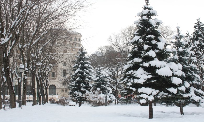 Прогноз зими 2025-2026 в Україні - морози, сніг, прикмети