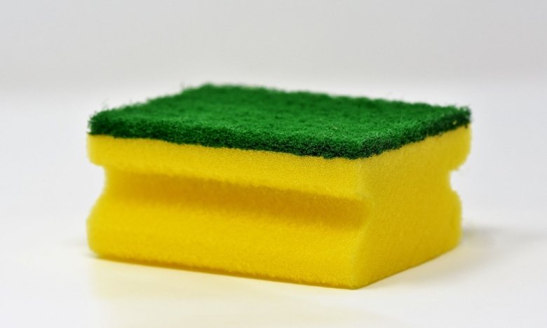 Губка может спасти от жары